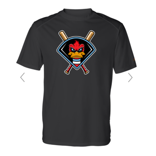 DryFit Mallards Original