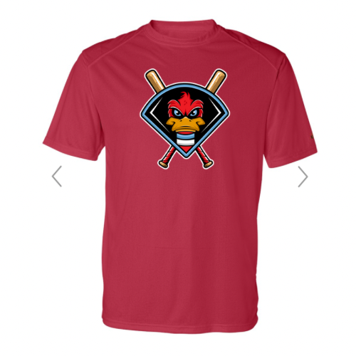 DryFit Mallards Original